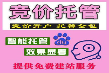 百度推广平台助力企业品牌建设案例分析